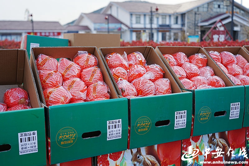 第三.jpg 第三.jpg